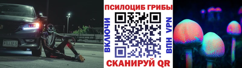 Купить закладки  Называевск  Галлюциногенные грибы Psilocybine cubensis 